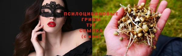 дмт Алексин